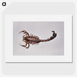 2-96_COVID-19_picture