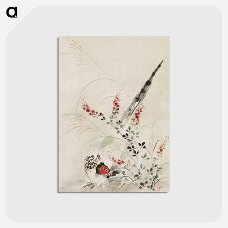 アートポストカード-Japanese Pheasant and Grass
 - クリーブランド美術館 Postcard.