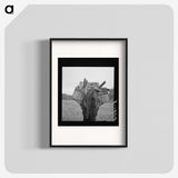 2-96_Dorothea-Lange_blk