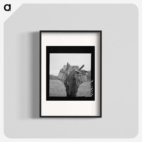 2-96_Dorothea-Lange_blk