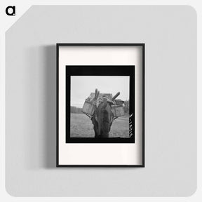 アートポスター-Untitled photo - ドロテア ラング Poster.
