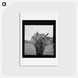 2-96_Dorothea-Lange_hagaki