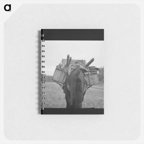 アートメモ帳-Untitled photo - ドロテア ラング Memo.