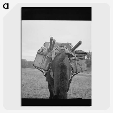 2-96_Dorothea-Lange_picture-crop