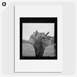 2-96_Dorothea-Lange_picture