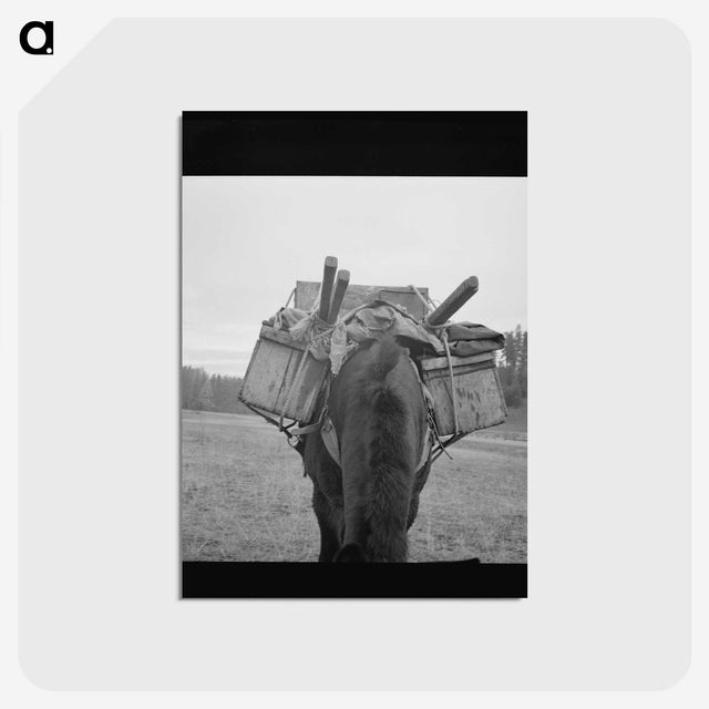 2-96_Dorothea-Lange_postcard