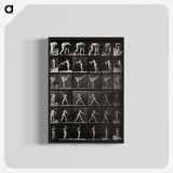 2-96_Eadweard-Muybridge_blk-crop