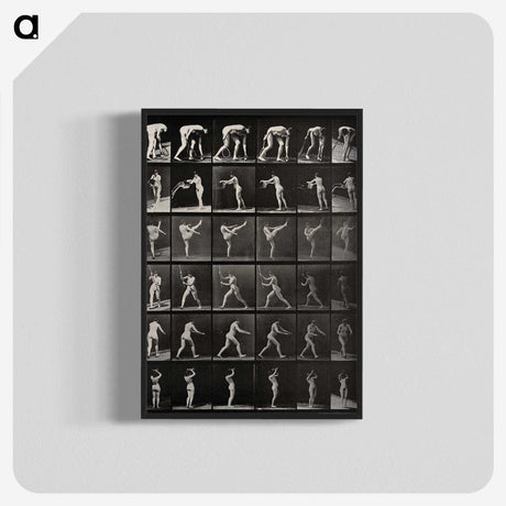 2-96_Eadweard-Muybridge_blk-crop