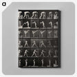 2-96_Eadweard-Muybridge_canvas