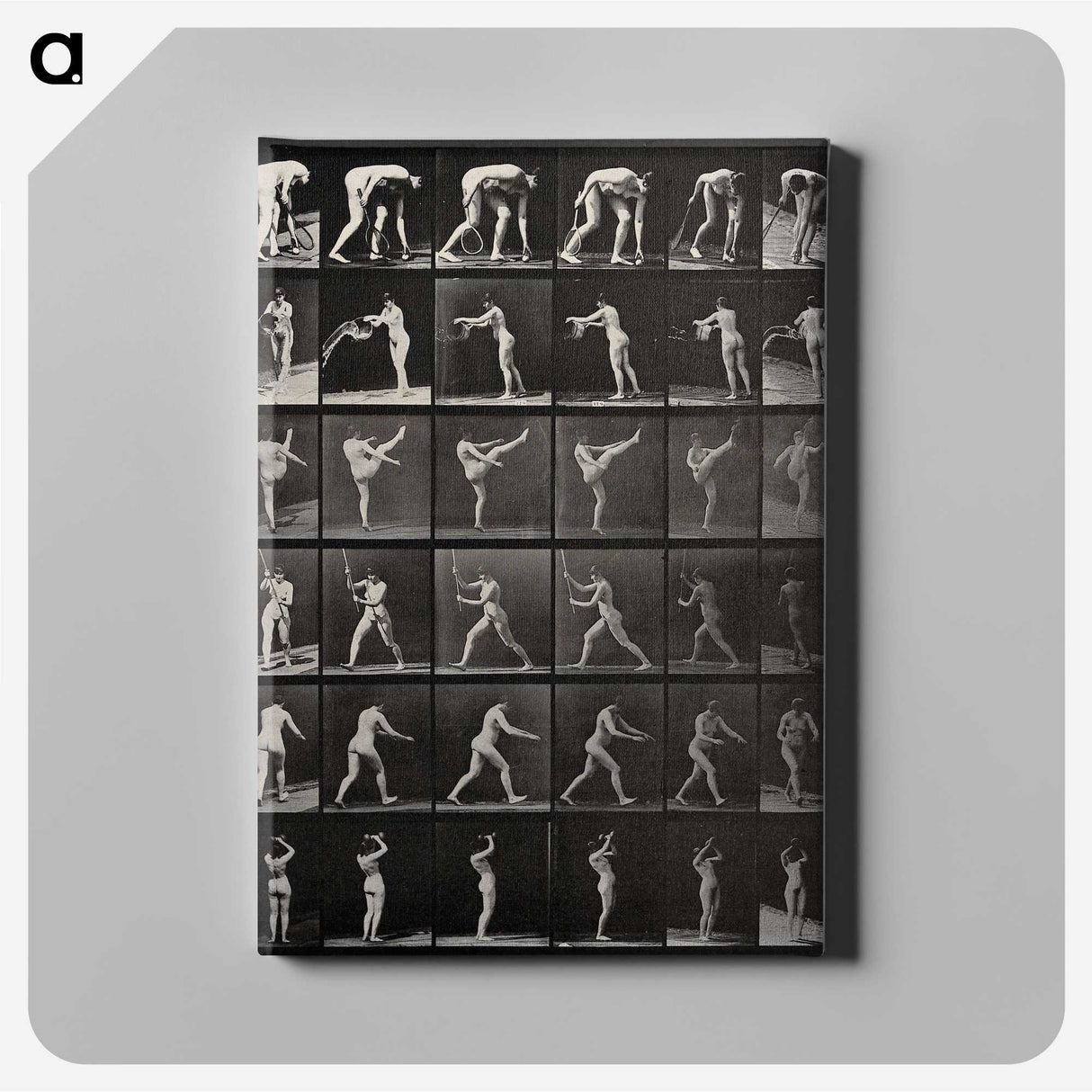 2-96_Eadweard-Muybridge_canvas