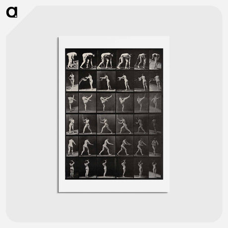 アートポストカード-Woman in Motion
 - エドワード マイブリッジ Postcard.