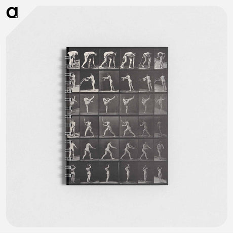 アートメモ帳-Woman in Motion
 - エドワード マイブリッジ Memo.