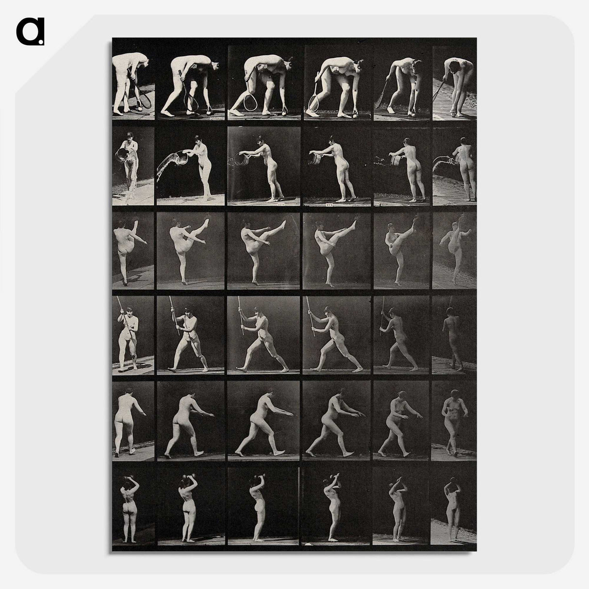 2-96_Eadweard-Muybridge_picture-crop