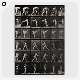 2-96_Eadweard-Muybridge_picture-crop