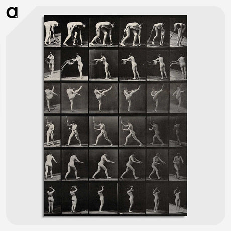 2-96_Eadweard-Muybridge_picture-crop