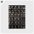 2-96_Eadweard-Muybridge_postcard