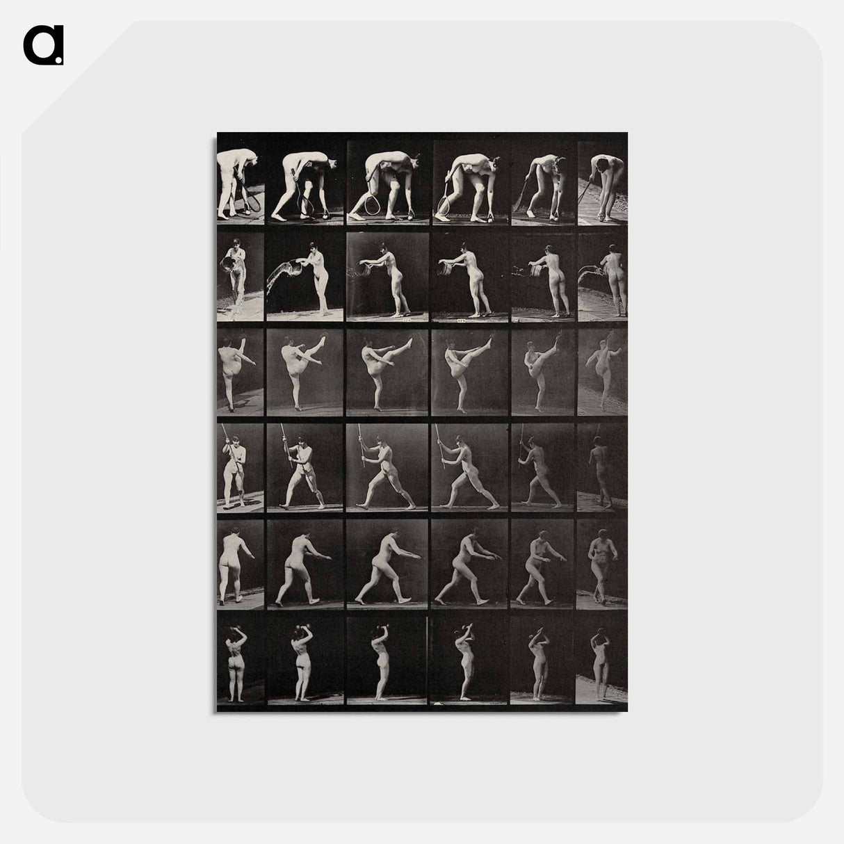 アートポストカード-Woman in Motion
 - エドワード マイブリッジ Postcard.