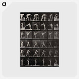 アートポストカード-Woman in Motion
 - エドワード マイブリッジ Postcard.