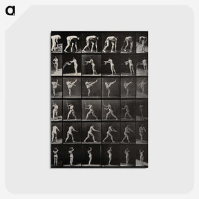 2-96_Eadweard-Muybridge_postcard