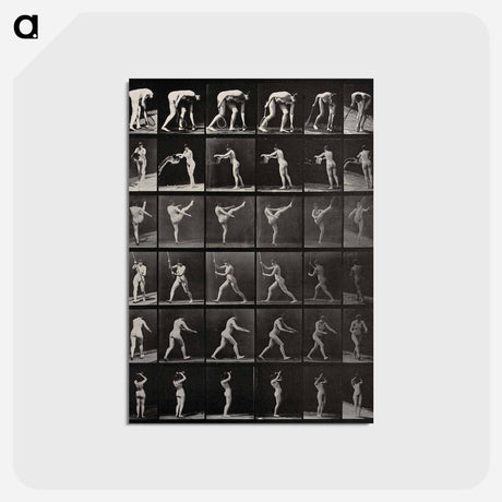 アートポストカード-Woman in Motion
 - エドワード マイブリッジ Postcard.