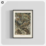 2-96_Ernst-Haeckel_blk-crop