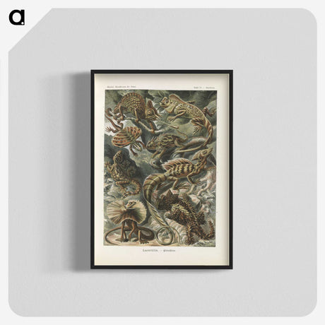 2-96_Ernst-Haeckel_blk-crop