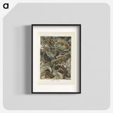 2-96_Ernst-Haeckel_blk