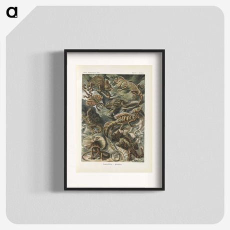 2-96_Ernst-Haeckel_blk