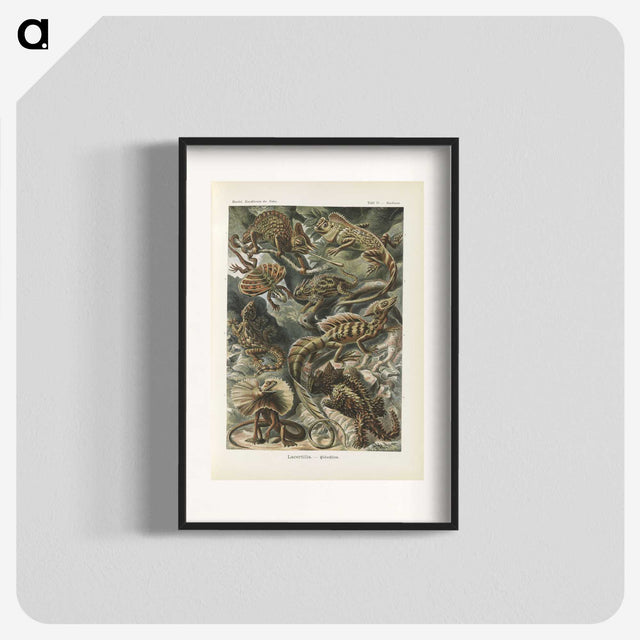 2-96_Ernst-Haeckel_blk