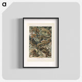 Chameleon illustration from Kunstformen der Natur - エルンスト ヘッケル Poster.