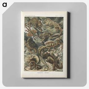 2-96_Ernst-Haeckel_canvas