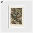 アートポストカード-Chameleon illustration from Kunstformen der Natur - エルンスト ヘッケル Postcard.