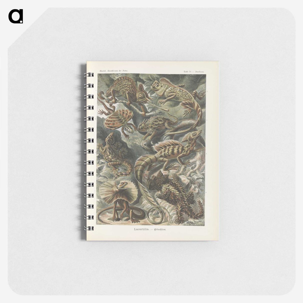 2-96_Ernst-Haeckel_memo