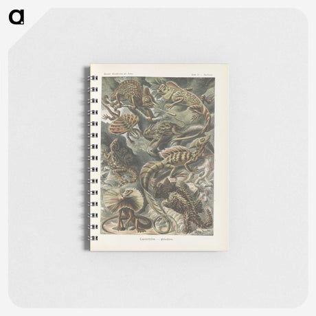 2-96_Ernst-Haeckel_memo