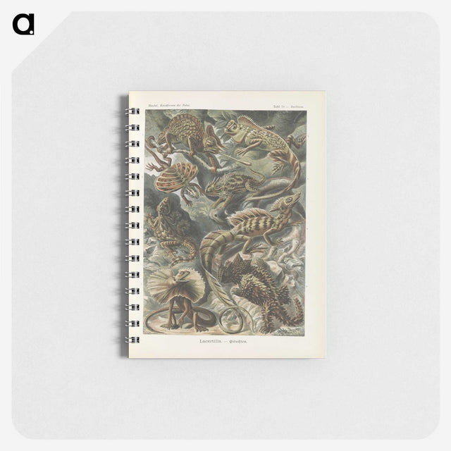 2-96_Ernst-Haeckel_memo