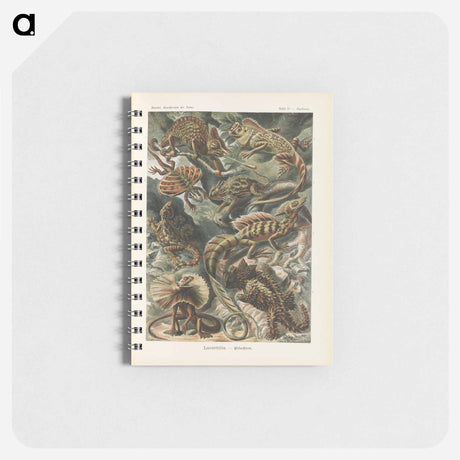 アートメモ帳-Chameleon illustration from Kunstformen der Natur - エルンスト ヘッケル Memo.