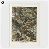 2-96_Ernst-Haeckel_picture-crop
