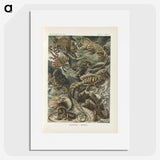2-96_Ernst-Haeckel_picture