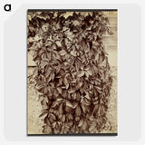 2-96_Eugene-Atget_picture-crop
