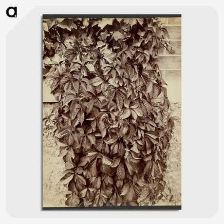2-96_Eugene-Atget_picture-crop