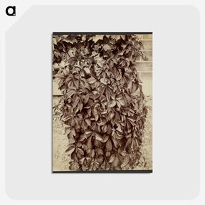 2-96_Eugene-Atget_postcard