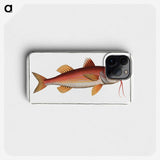 2-96_Ichtyologie-ou-Histoire-naturelle_phone