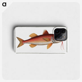 2-96_Ichtyologie-ou-Histoire-naturelle_phone