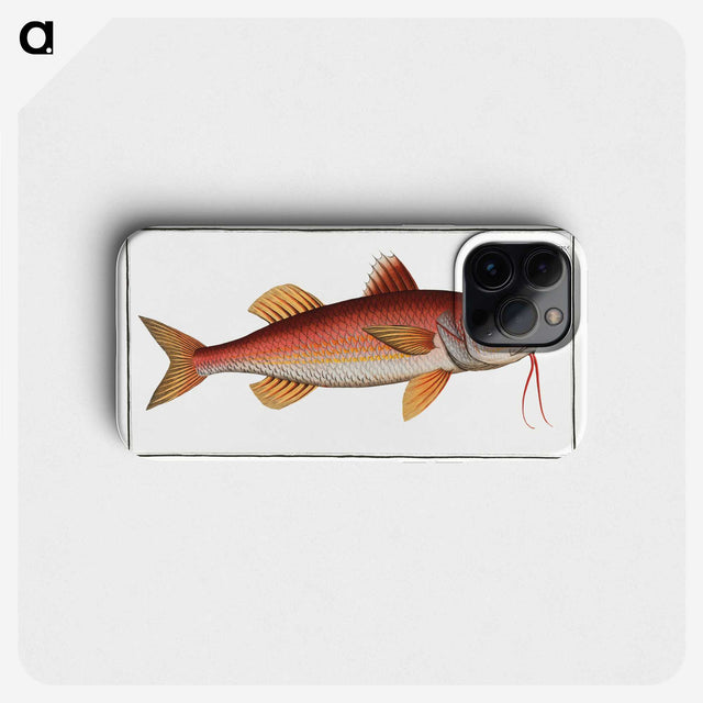 2-96_Ichtyologie-ou-Histoire-naturelle_phone