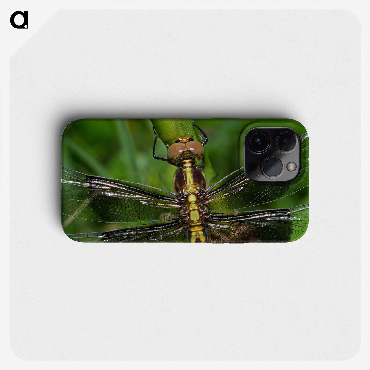 2-96_Insects-Unlocked-Project_phone