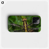 2-96_Insects-Unlocked-Project_phone