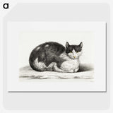 2-96_Jean-Bernard_picture