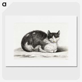 2-96_Jean-Bernard_picture