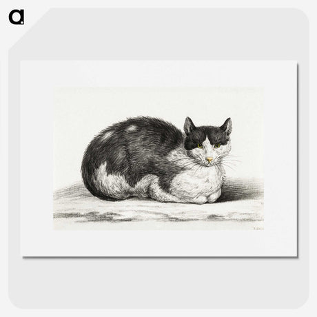 2-96_Jean-Bernard_picture