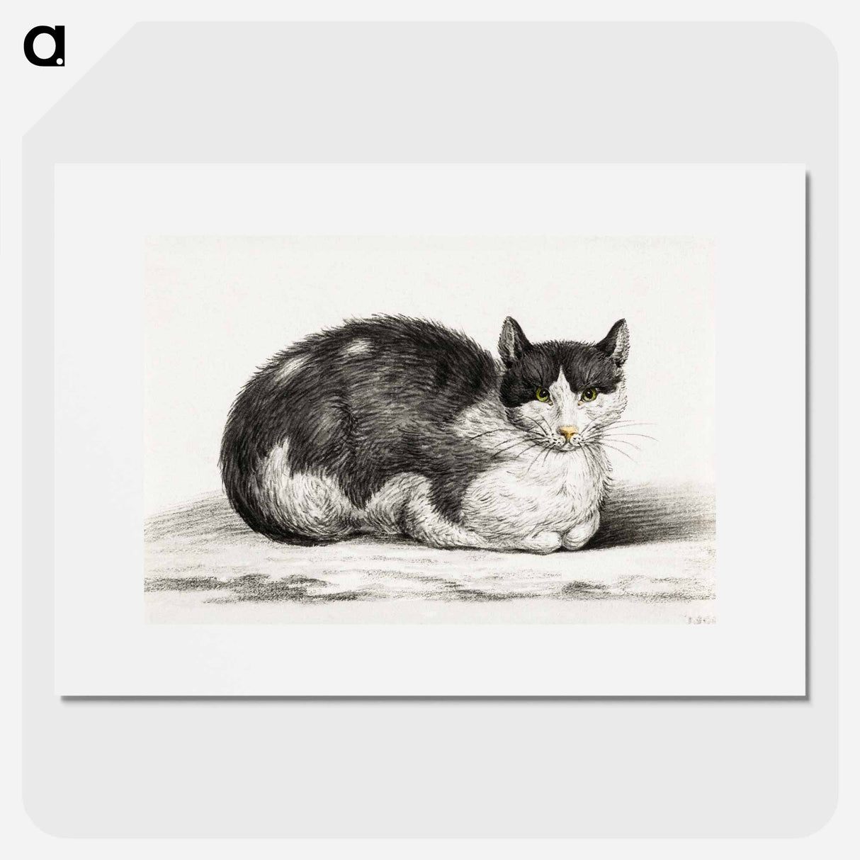 Lying cat - Jean Bernard Poster.